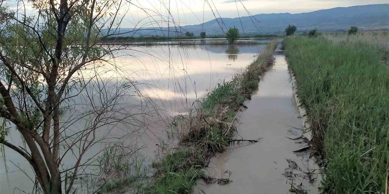 Aralıksız yağışlar tarımsal üretimi olumsuz etkiliyor