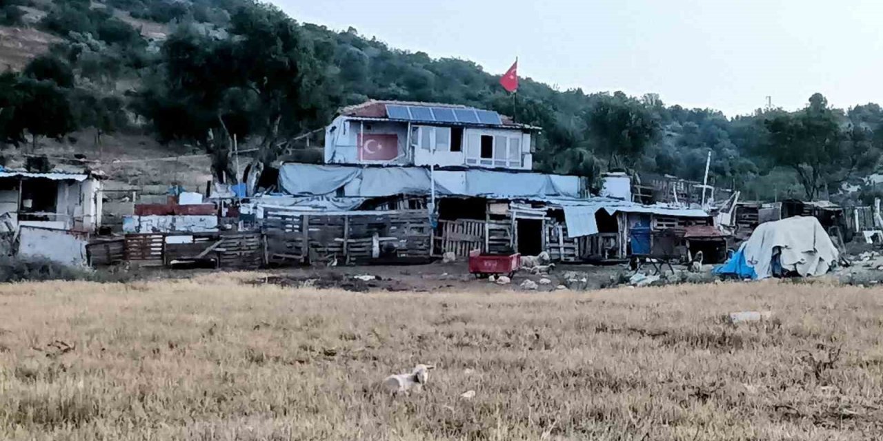 İzmir’de çiftlik evinde korkunç cinayet