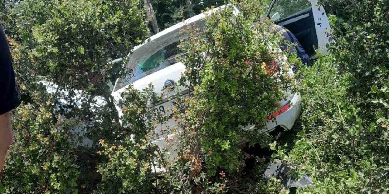 Otomobil makilik alana uçtu; 1 yaralı