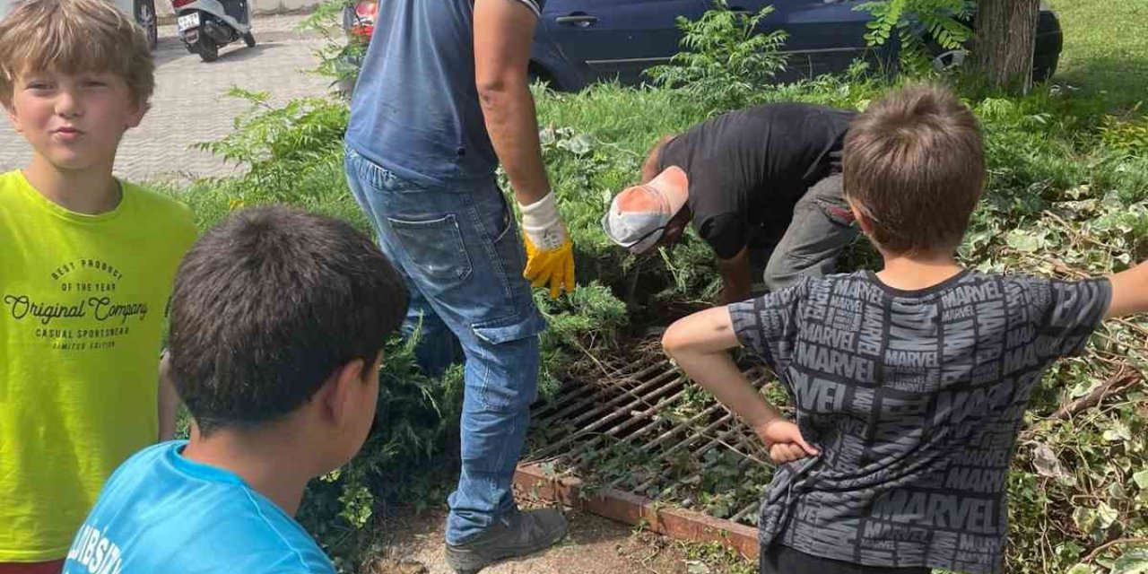 Marmaris’te belediye ekipleri yavru kediyi kurtardı
