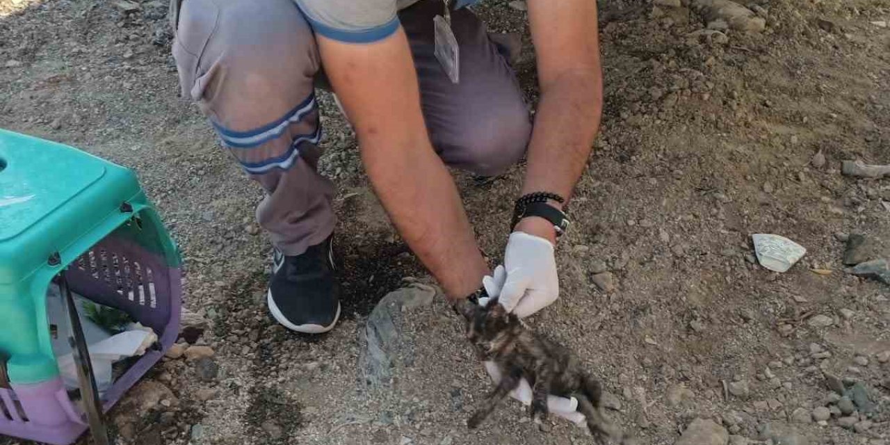 Vatandaş ihbar etti, belediye müdahale etti