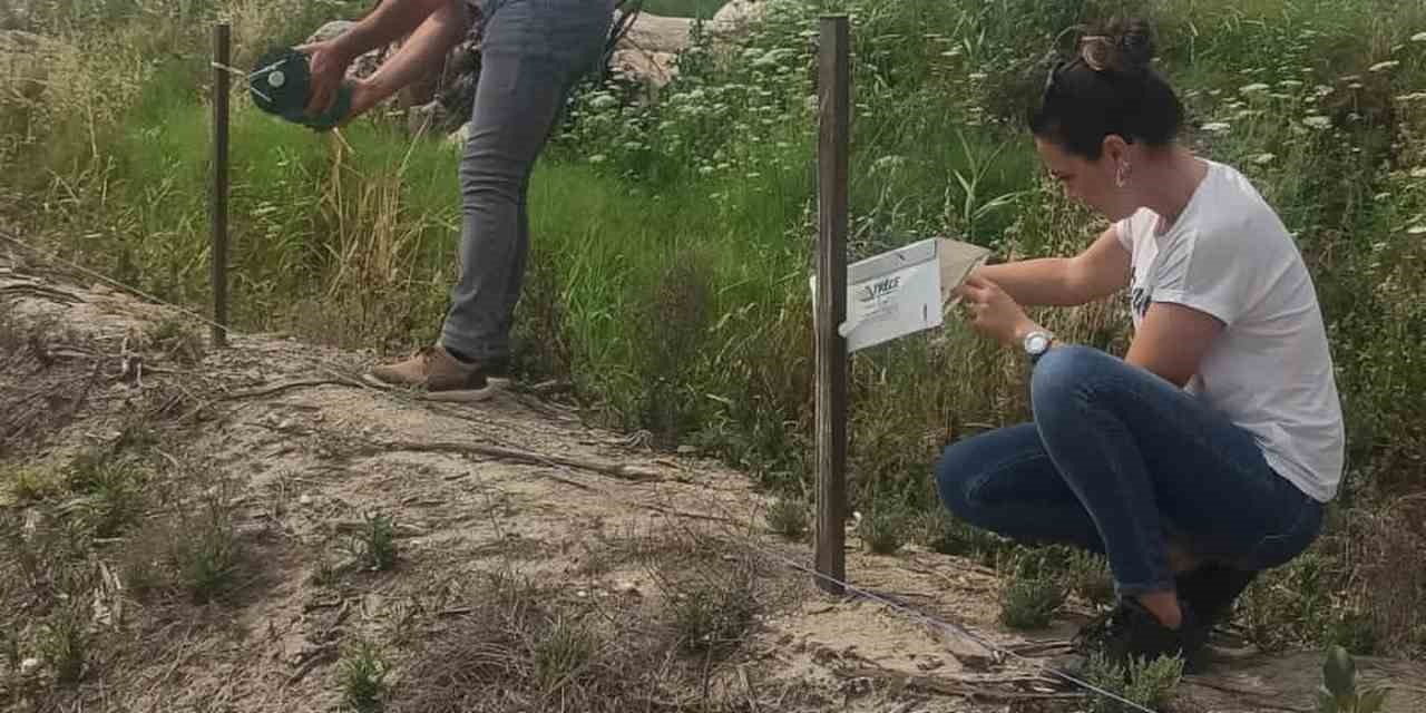 Didim’in pamuğu temiz çıktı