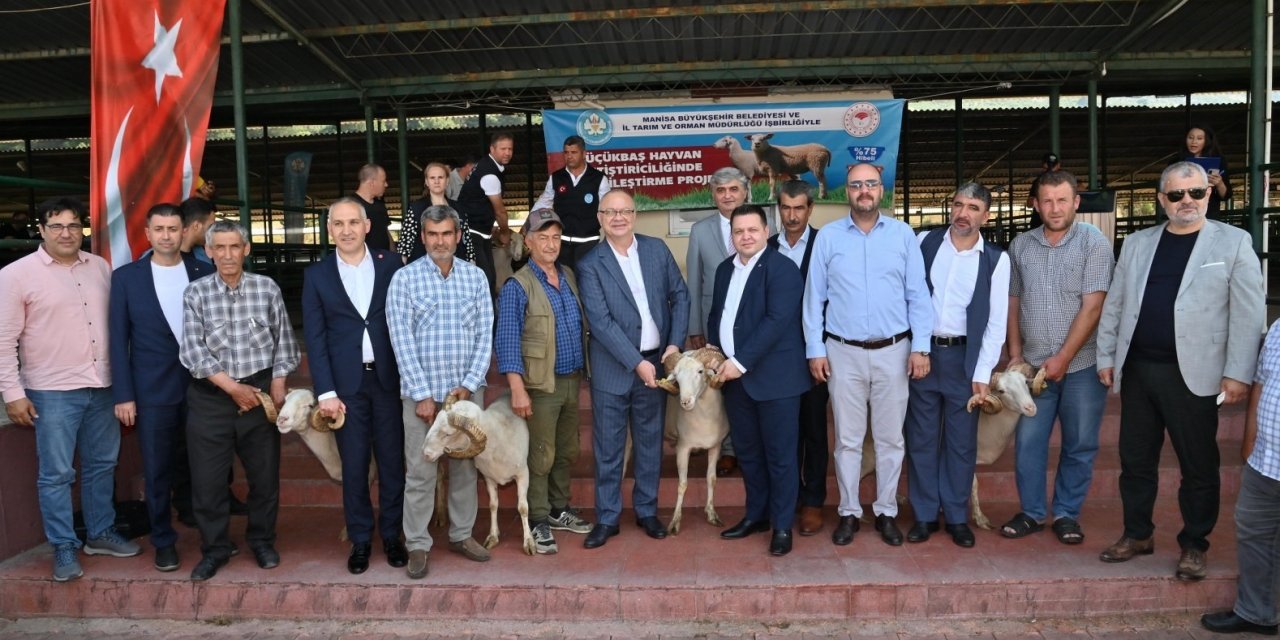 Başkan Ergün damızlık koçları hayvan yetiştiricilerine teslim etti
