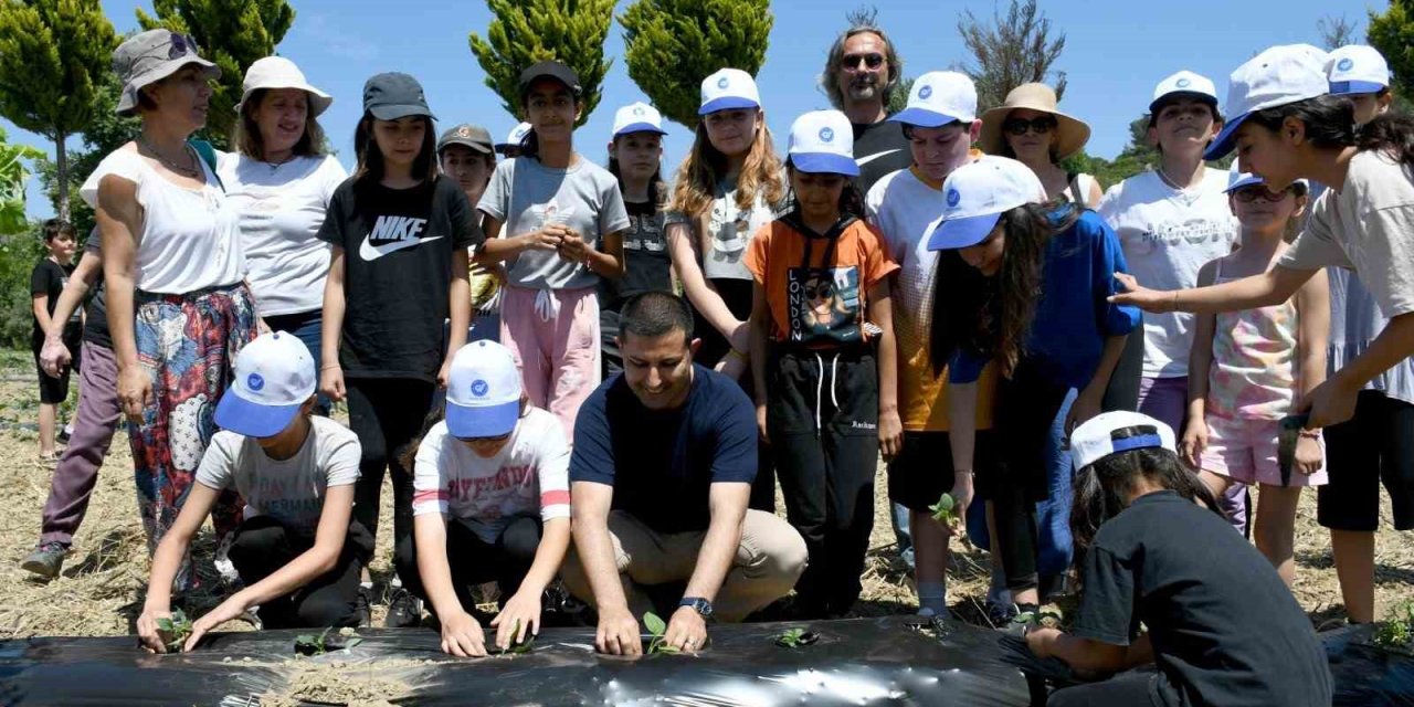 Minik eller yaz fidelerini  toprakla buluşturdu