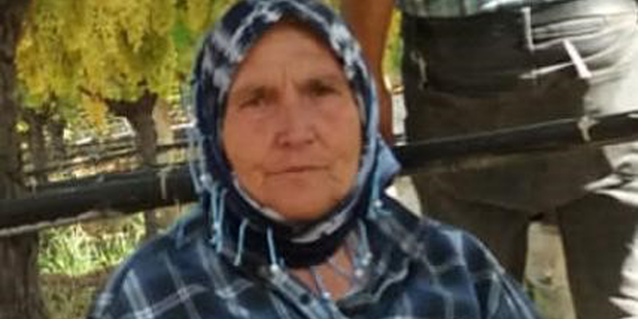 Devrilen traktörün altında kalan kadın öldü