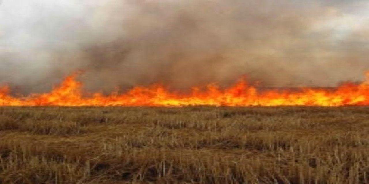 Salihli’de anız yakana dekar başına 244 lira ceza