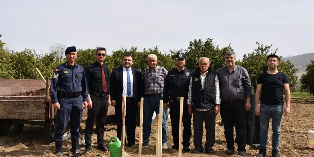 Buharkent tarımı atağa kalktı