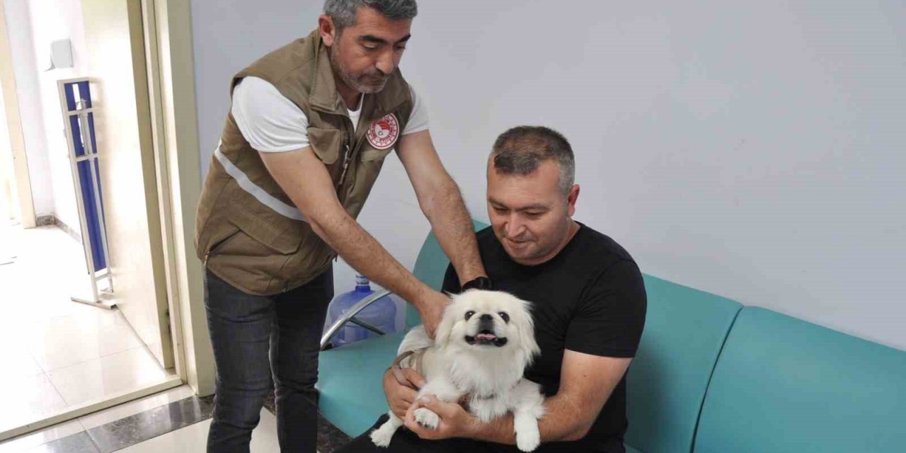 Salihli’de bin kedi ve köpeğe mikroçip takıldı