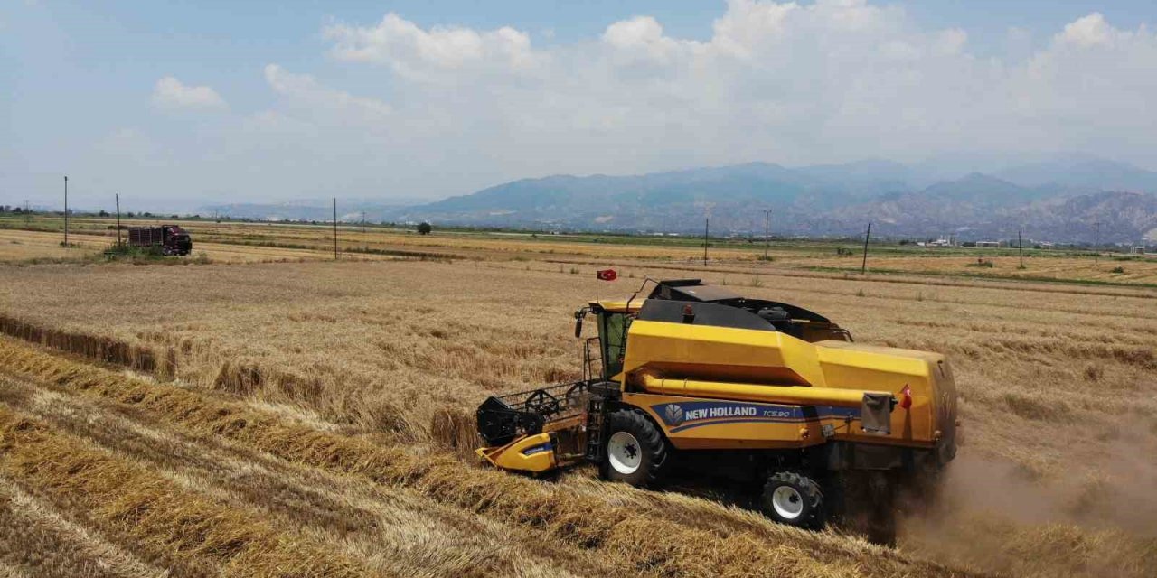 Buğday üreticileri hasat için zamanla yarışıyor