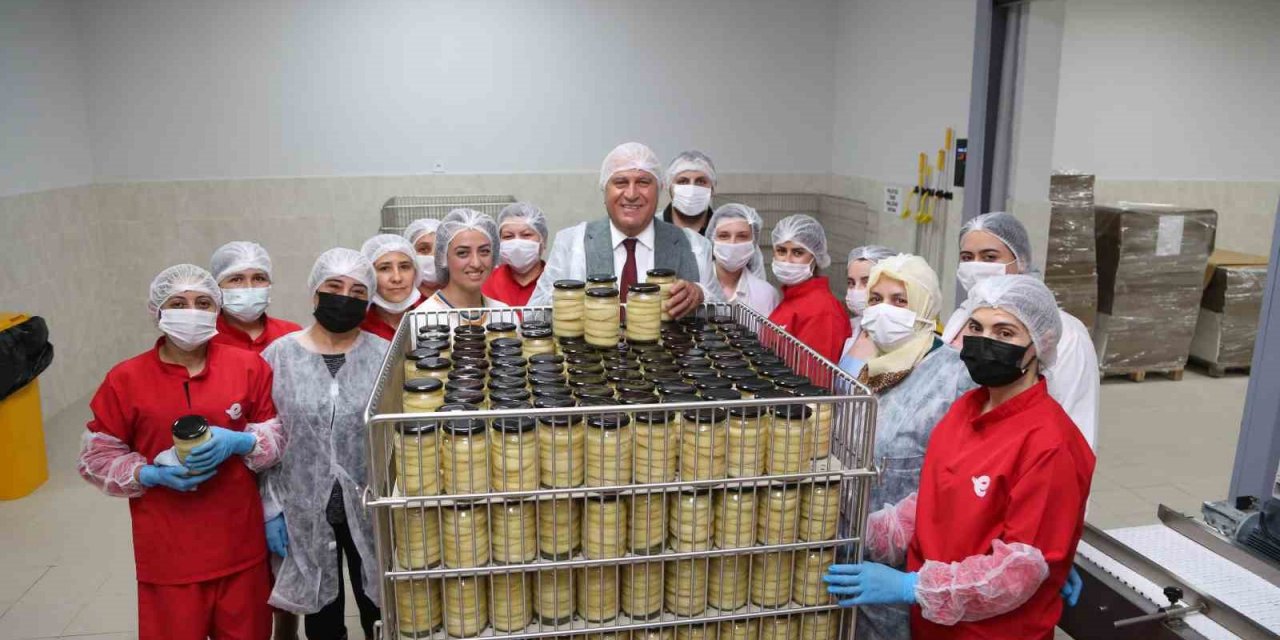 Efeler’in Tarımsal Ürün Fabrikası Türkiye’ye örnek oluyor