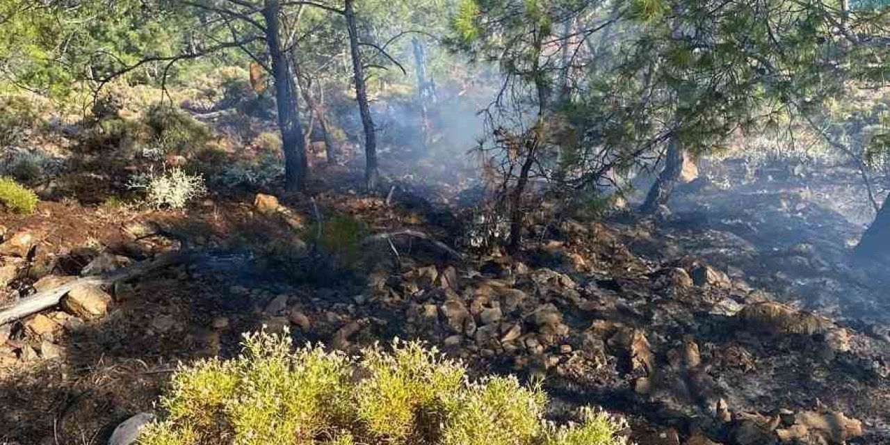 Fethiye İnlice Koyu’nda çıkan orman yangını söndürüldü