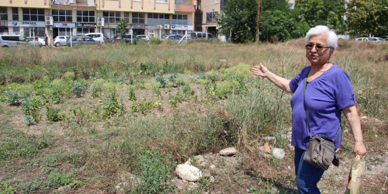 Aykonutzedelerin umutları tükendi