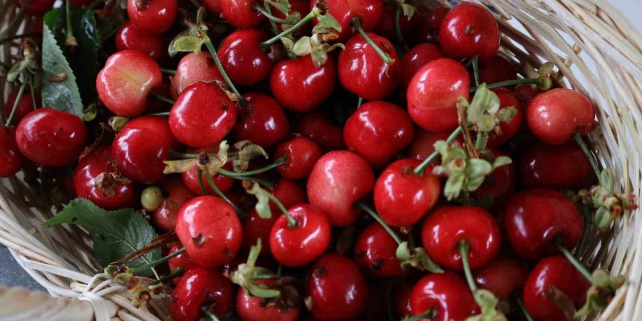 Kiraz Festival için geri sayım başladı