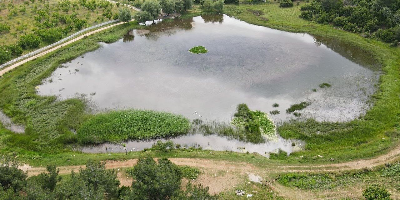 Sülüklü Göl doğa ve fotoğraf tutkunlarının uğrak noktası oldu