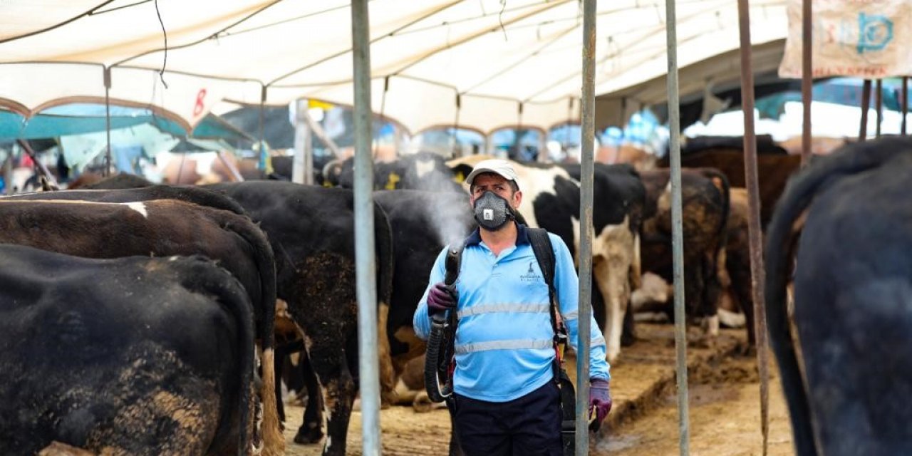 Bayraklı Belediyesi Kurban Bayramı’na hazır