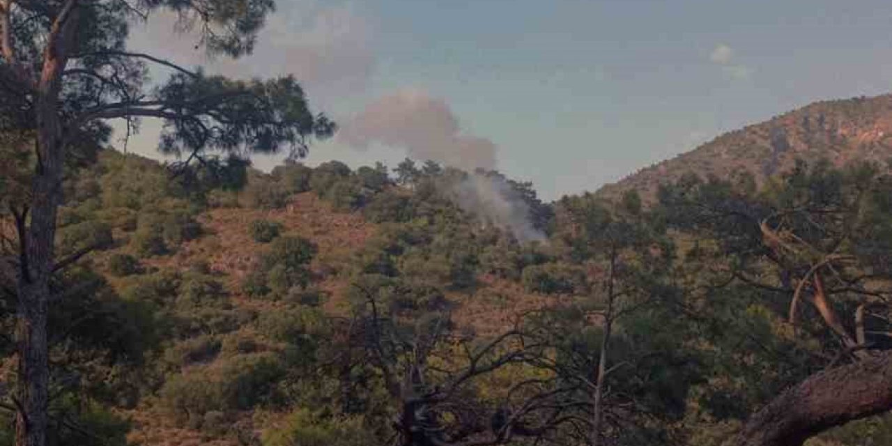 Fethiye’de orman yangını
