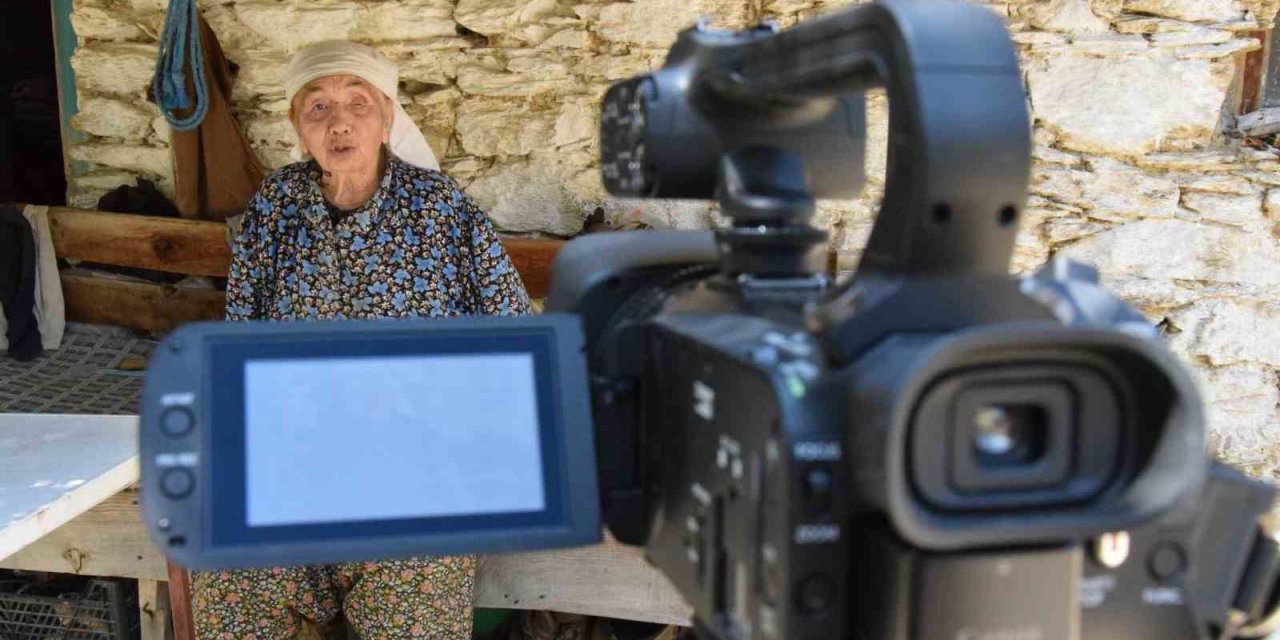 Yaşlı çınarlar, anlattıklarıyla geçmişe ışık tutacak