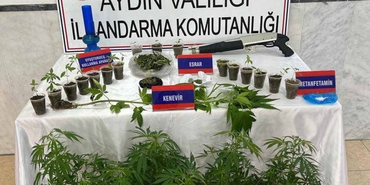Saksıda 46 kök kenevir ele geçirildi