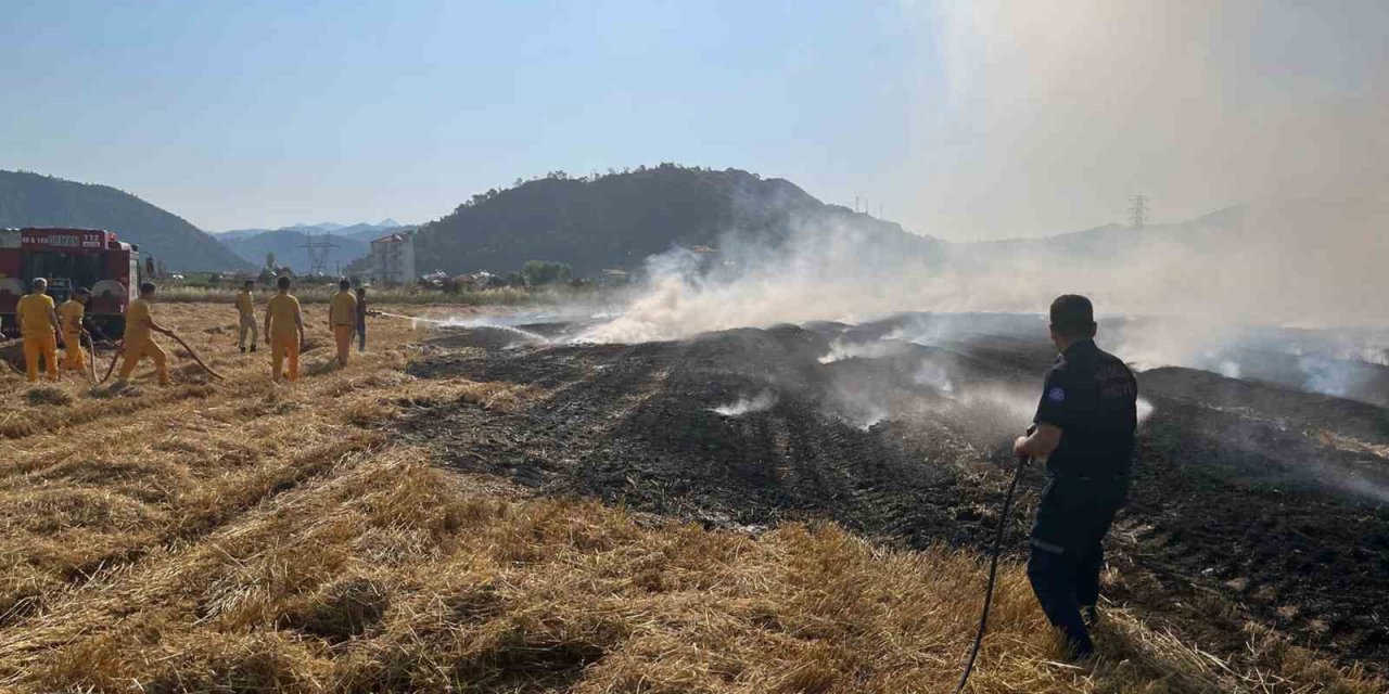 Anız yangını uyarısı