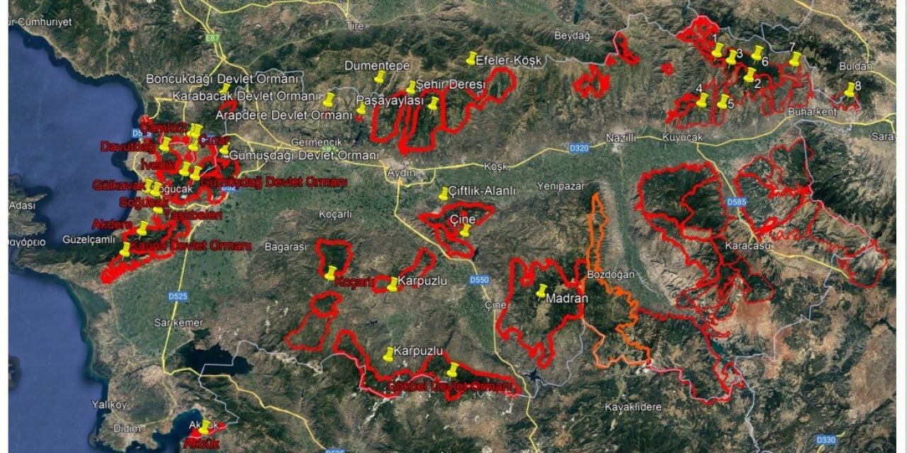 Aydın’da ormanlık alanlara izinsiz girilemeyecek