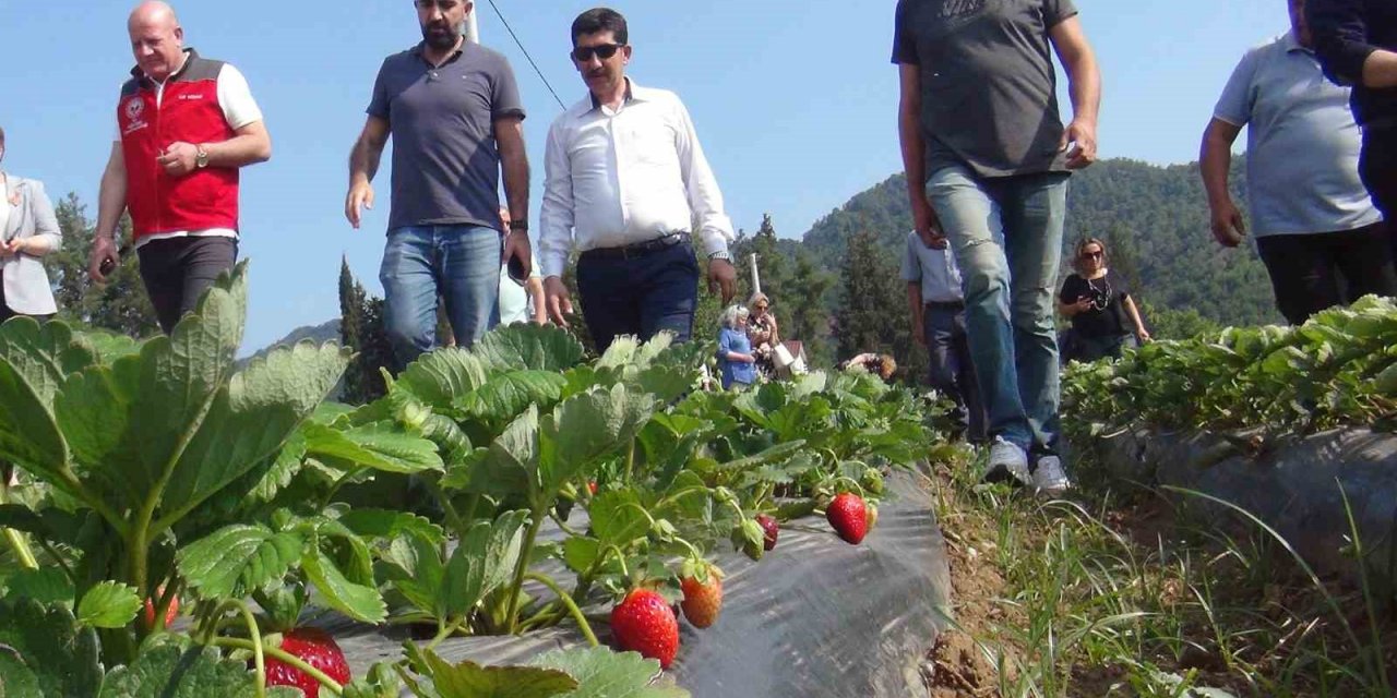 Meslek Liselilerden tarımsal üretime destek