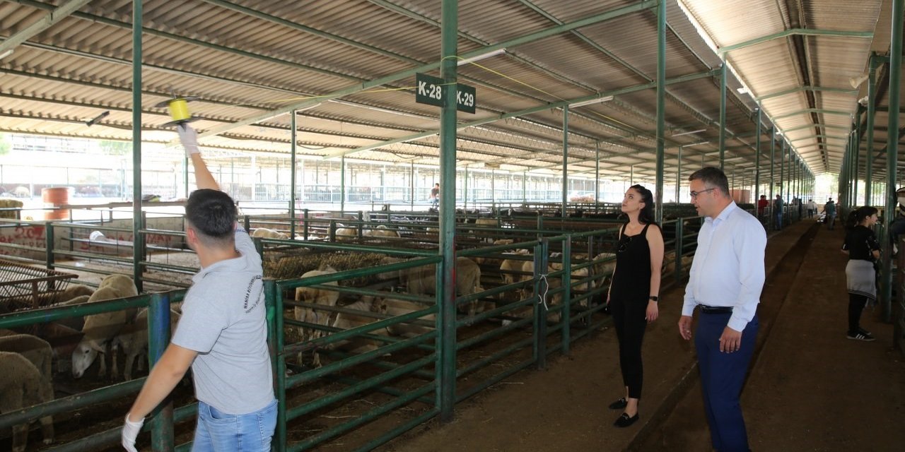 Canlı hayvan satış noktaları ilaçlanıyor