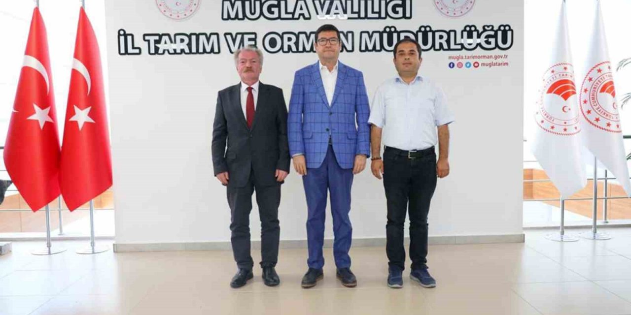 Tarım ve Orman İl Müdürü Saylak, “Tarım tüm paydaşlarla başarıya ulaşır”