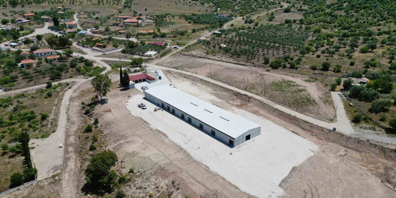 Üreticilere destek sağlayacak ‘Damızlık Koyun Üretim Merkezi’ faaliyete geçti