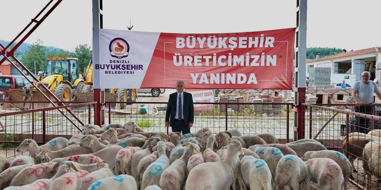 Denizli’de küçükbaş hayvancılığa 7,5 milyon liralık destek