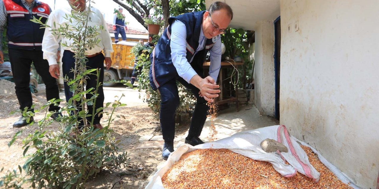 Pamukkale Belediyesi Cankurtaran’da yaraları sarıyor