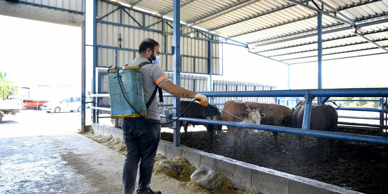 Kuşadasi’nda sivrisinek ve haşerelere karşı düzenli ilaçlama sürüyor