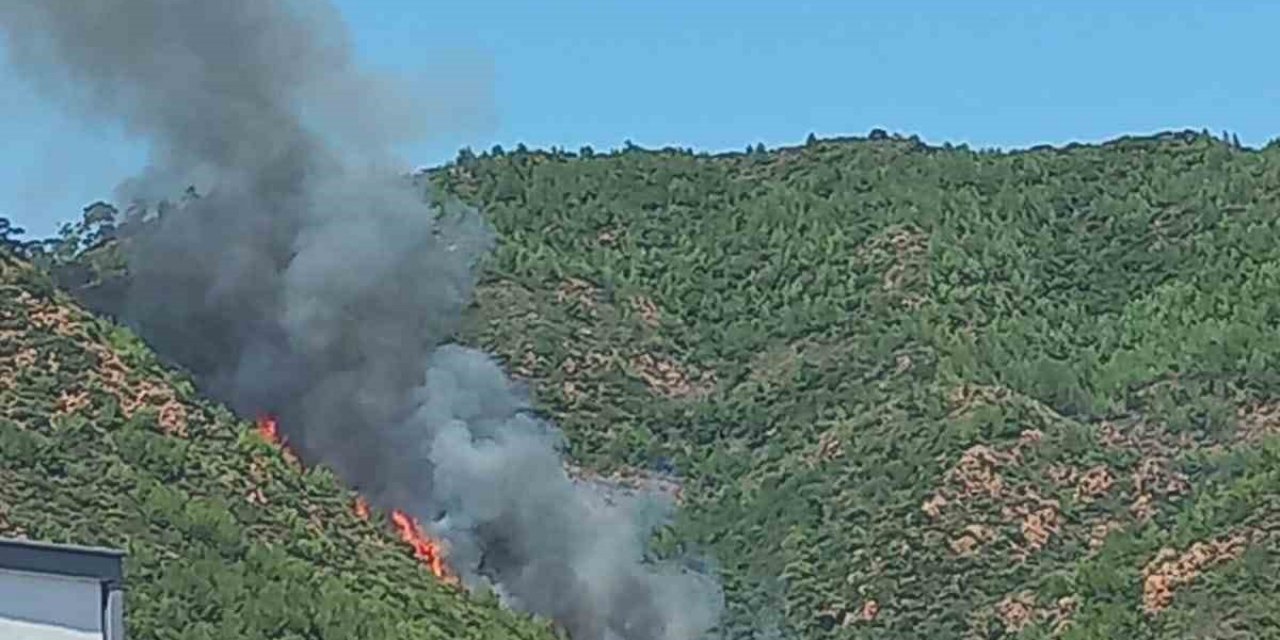 Marmaris’te orman yangını