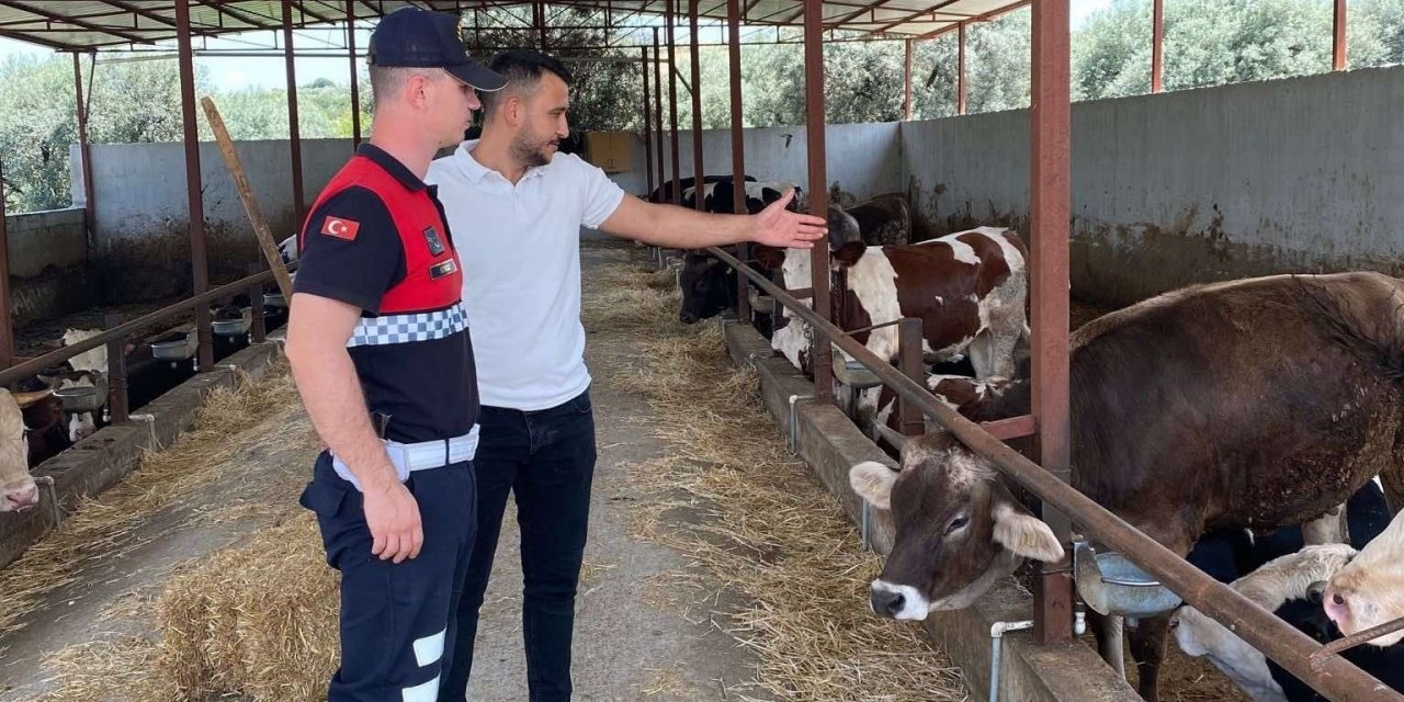 Jandarma ekipleri Kurban Bayramı öncesi uyardı