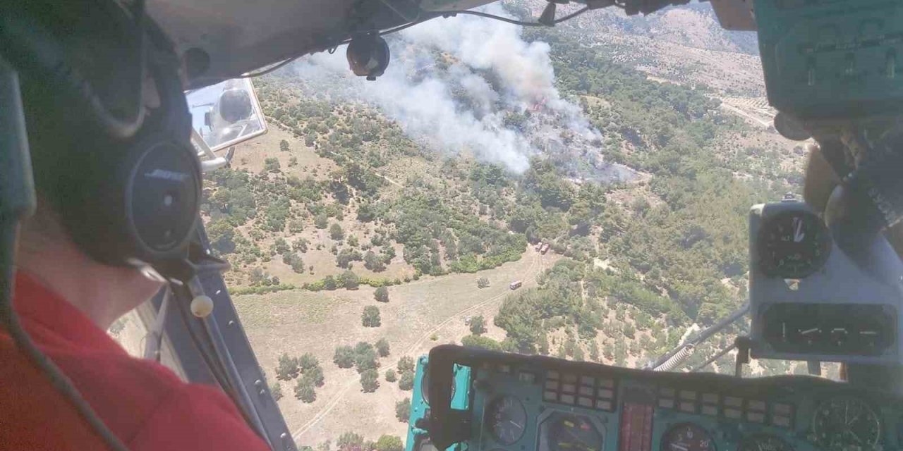 İzmir’deki orman yangınına havadan ve karadan müdahale