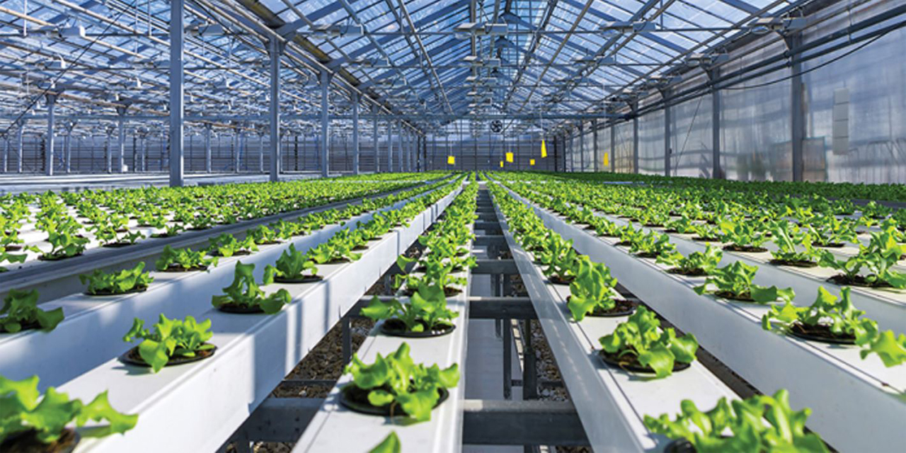 Topraksız tarım eğitimi veren yer