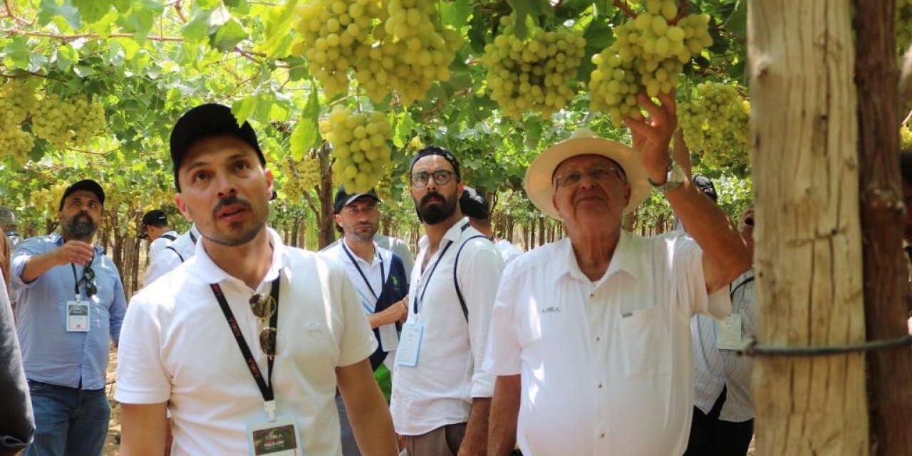 Sarıgöllü bağcılar Mısır’da son üzüm hasadını yerinde inceledi