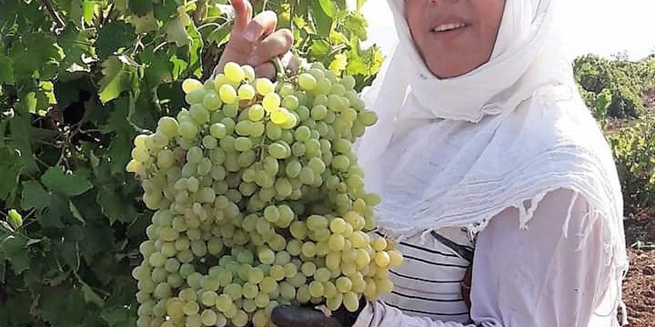 Karaciğer nakli yapılan kadın evinde ölü bulundu