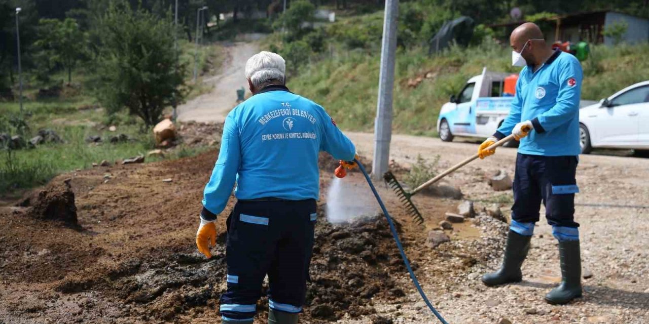 Merkezefendi’de tüm mahalleler ilaçlanıyor
