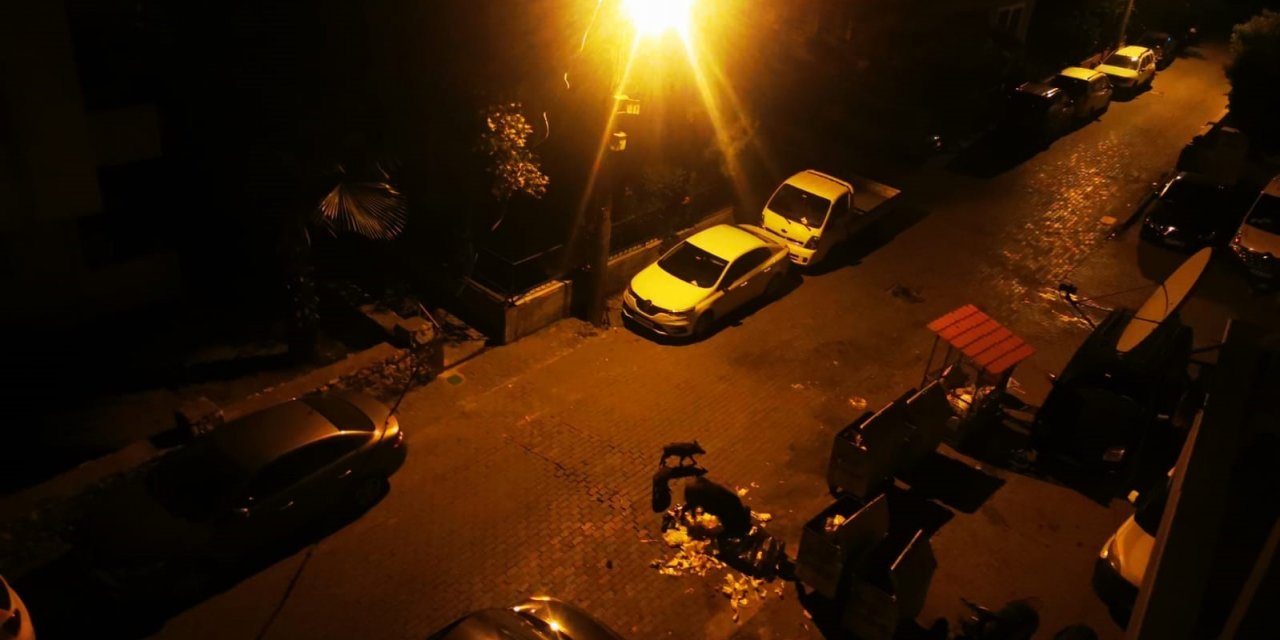 Marmarisliler domuz nöbeti tutuyor