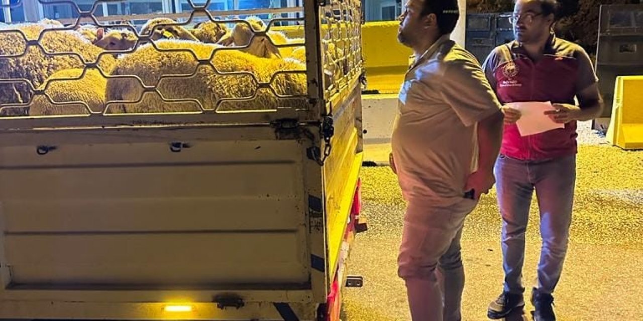 Köyceğiz’de hayvan sağlığı ile ilgili denetimler aralıksız sürüyor