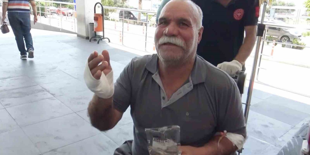 Acemi kasap hastanelik oldu: "Dana kesecektik, kendimizi kestik"