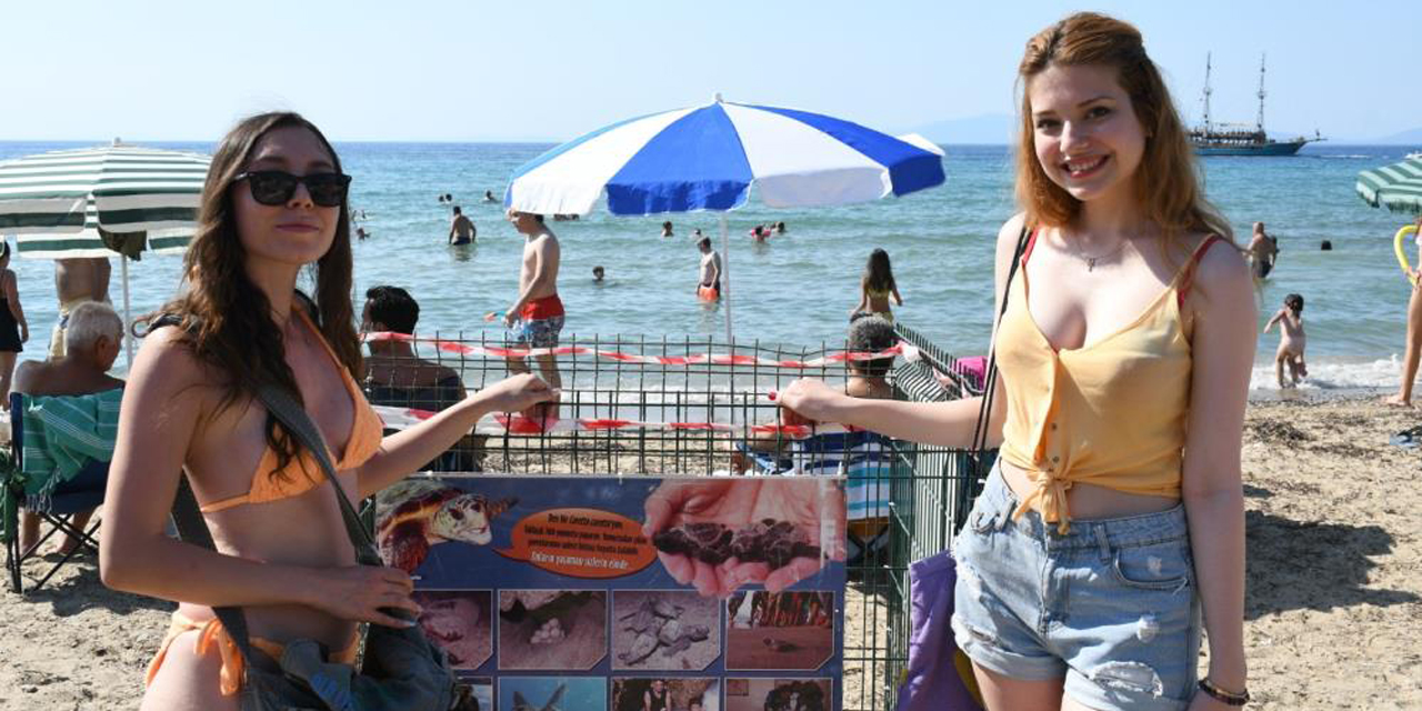 Caretta caretta yuvasına çitli koruma