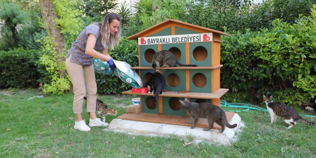 Bayraklı’da can dostlara mama ve su desteği