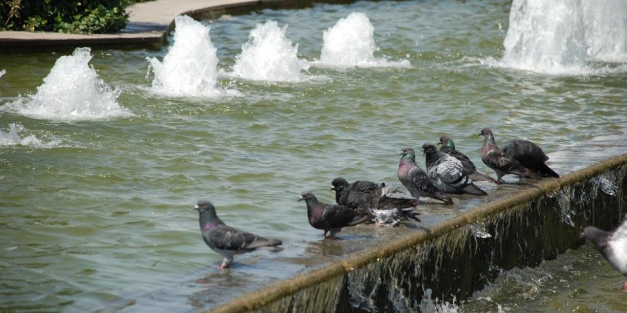 İzmir’e kavurucu sıcaklar geliyor