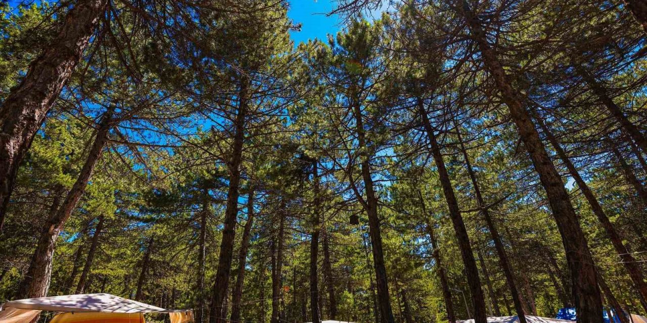 Doğasıyla cezbeden Kefe Yaylası misafirlerini bekliyor