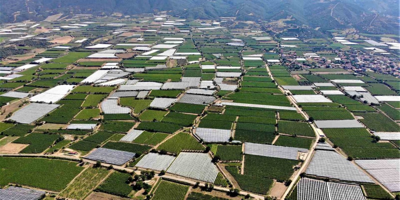 Sarıgöl Ovası beyaza bürünmeye başladı