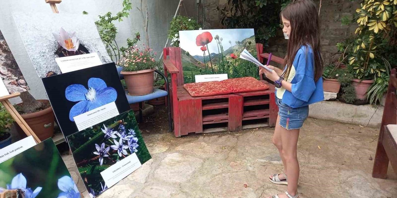 Sadece özel izinle dokunulabilen Tülüşah’ın hikayesi resimlerle anlatıldı