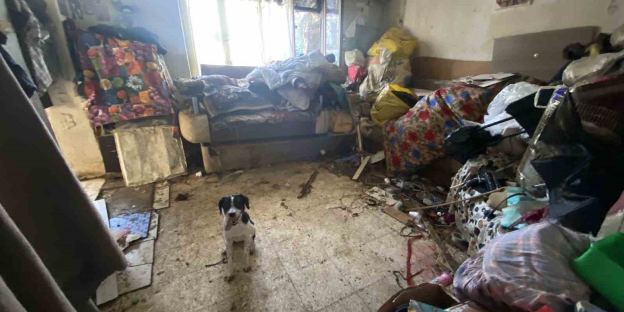 Çevreye kötü koku yayılan evden 2 kamyon çöp ile 4 köpek çıktı