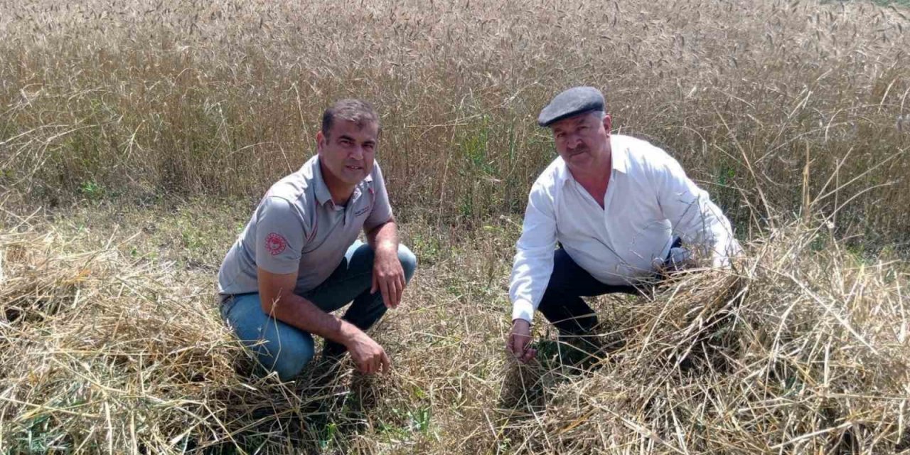 TMO’daki yoğunluk nedeniyle üreticiler randevu sıkıntısı yaşıyor