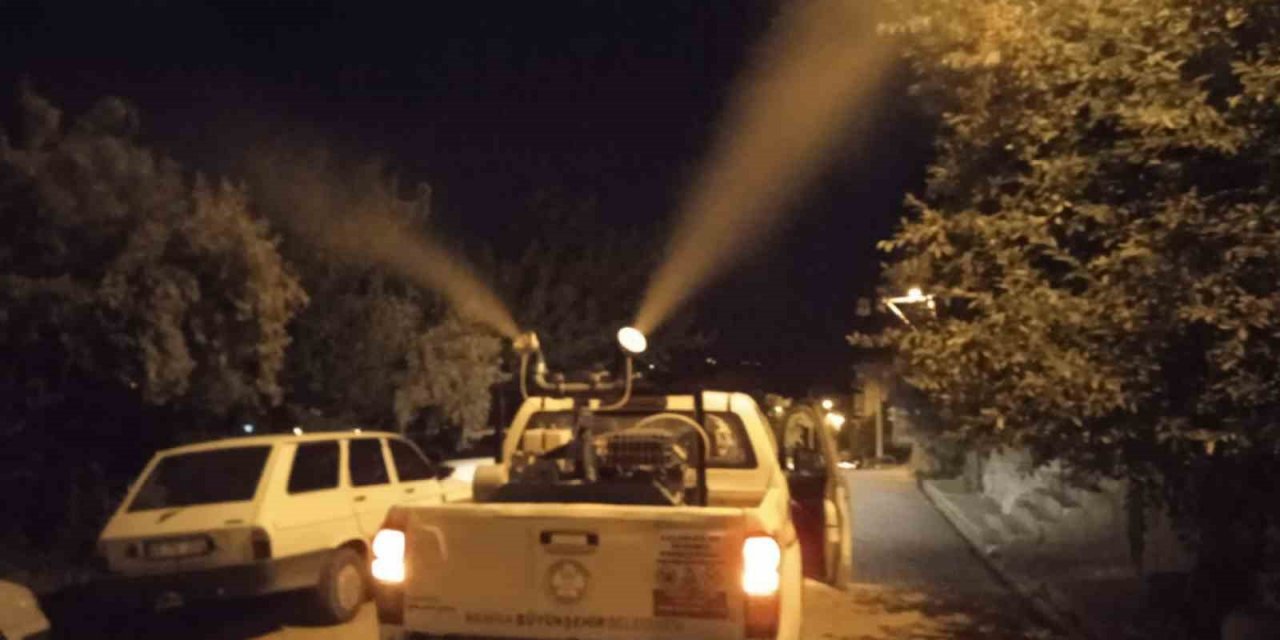 Manisa’da haşerelere karşı ilaçlama devam ediyor